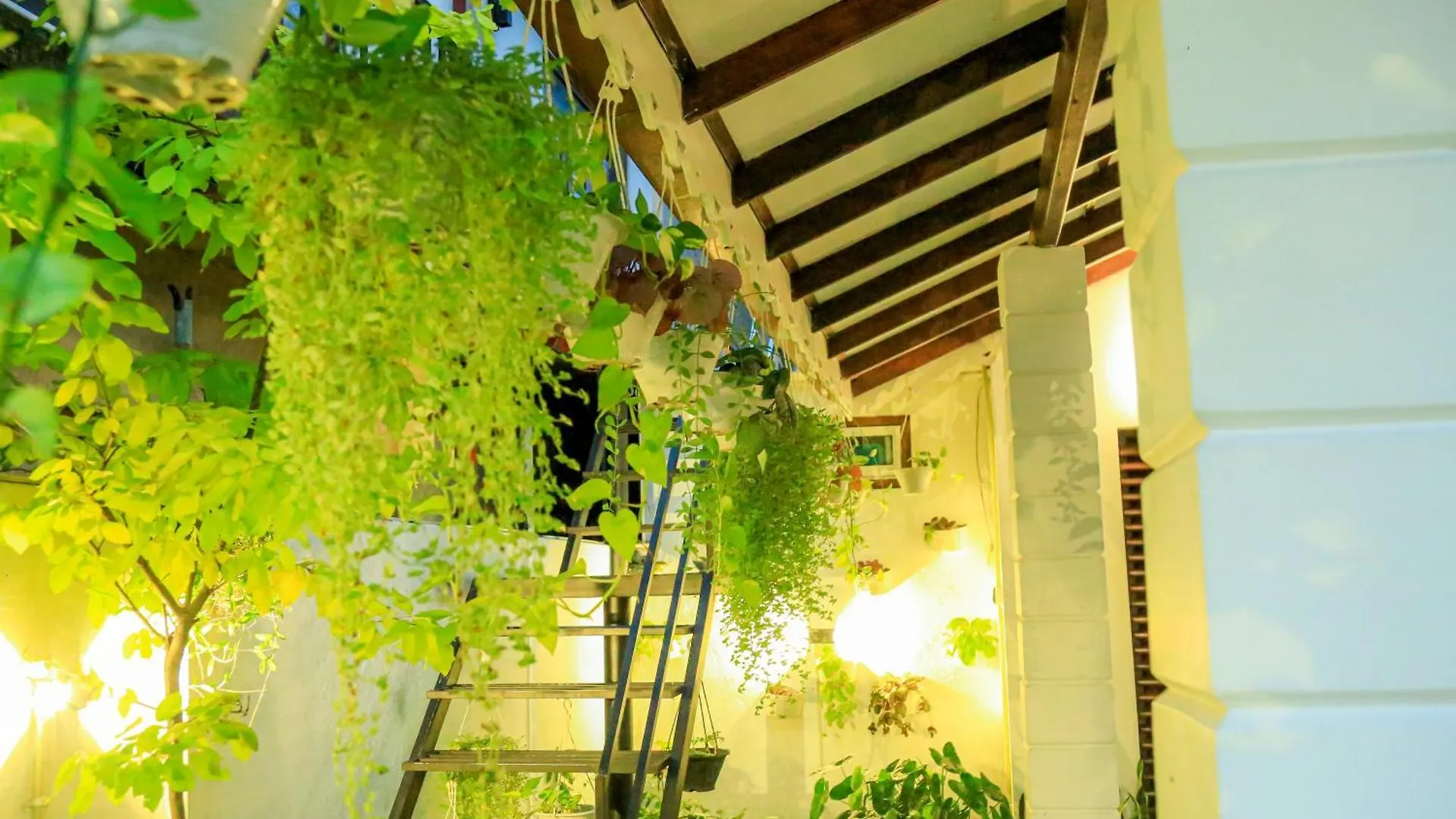 Transit Colombo Homestay Negombo Sri Lanka
