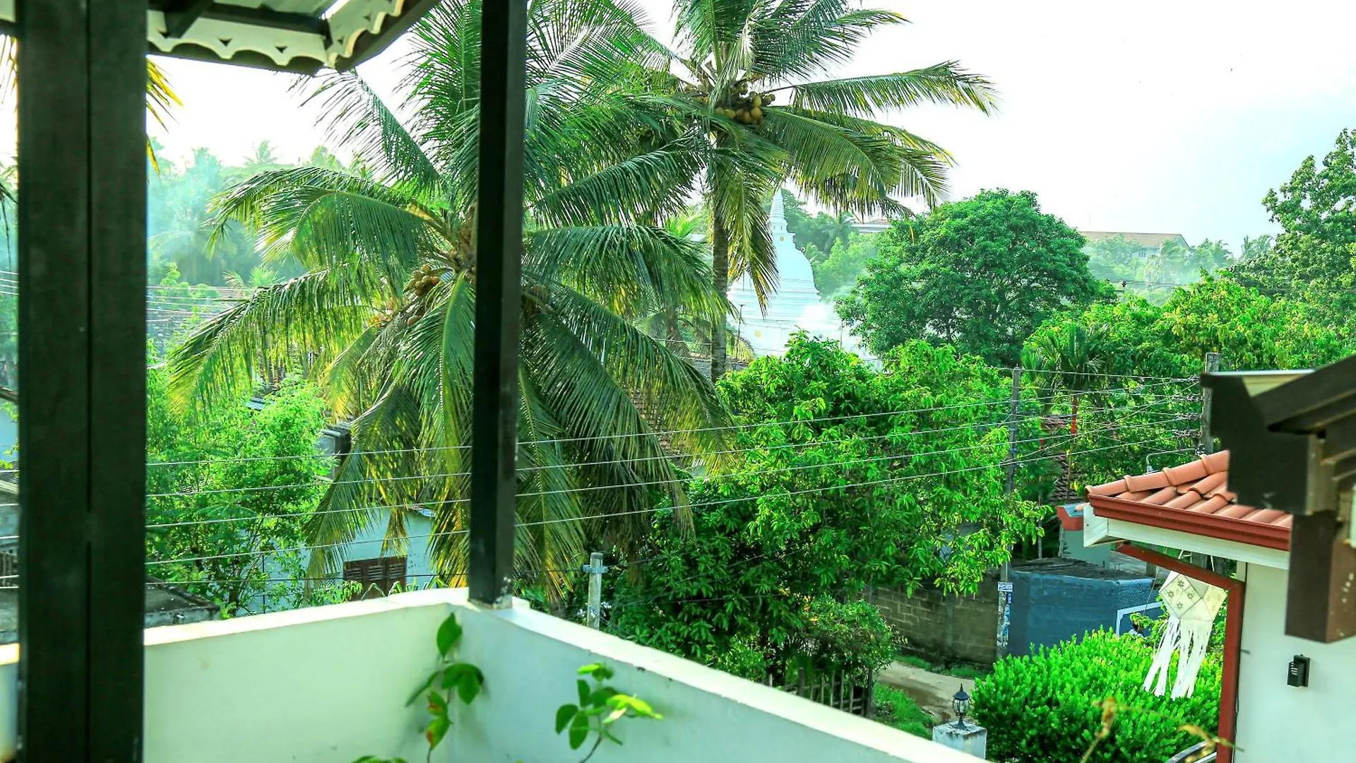 Transit Colombo Homestay Negombo Sri Lanka