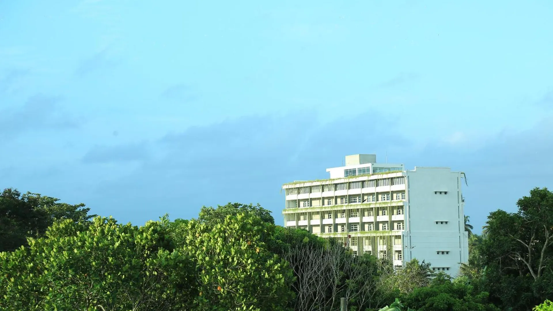 Transit Colombo Homestay Negombo