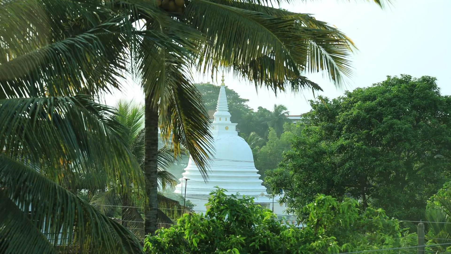 Transit Colombo Homestay Negombo 0*,  Sri Lanka